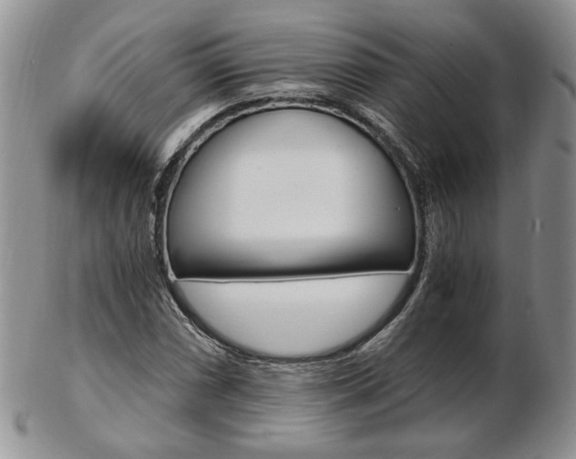 X0000103131066200808221036