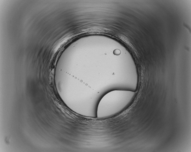 X0000103131067200808221036
