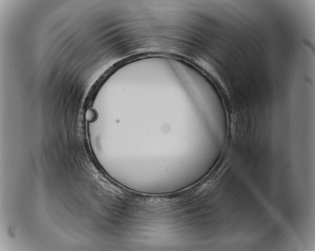 X0000103131068200808221036