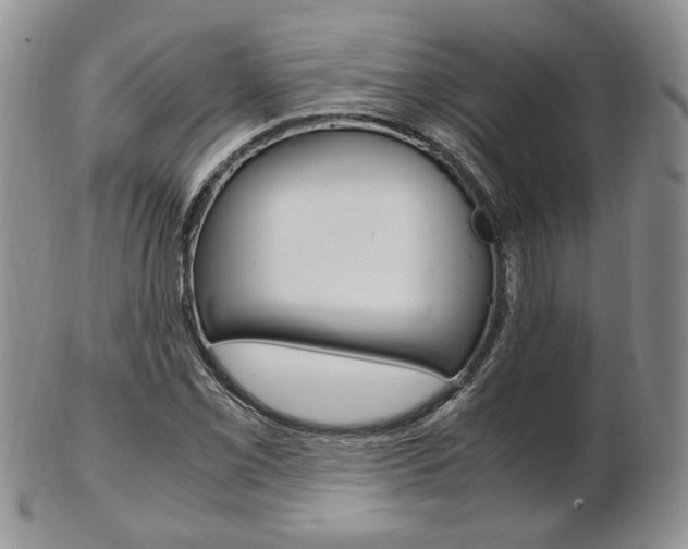 X0000103131069200808221036