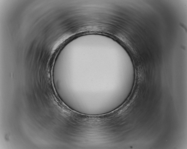 X0000103131070200808221036