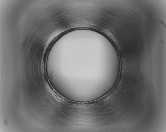 X0000103131072200808221036