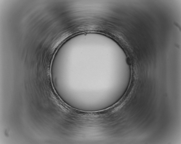 X0000103131073200808221036