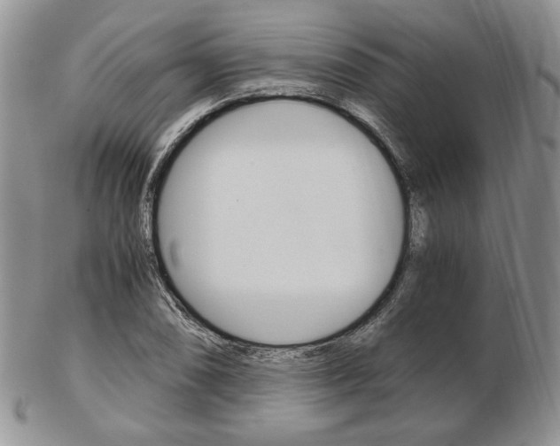 X0000103131074200808221036