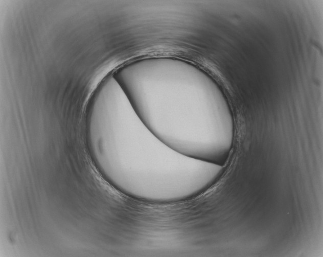 X0000103131075200808221036
