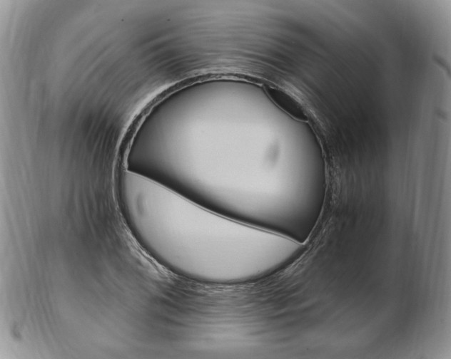 X0000103131076200808221036