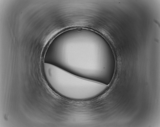 X0000103131077200808221036