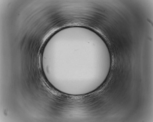 X0000103131078200808221036
