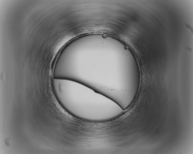 X0000103131079200808221036