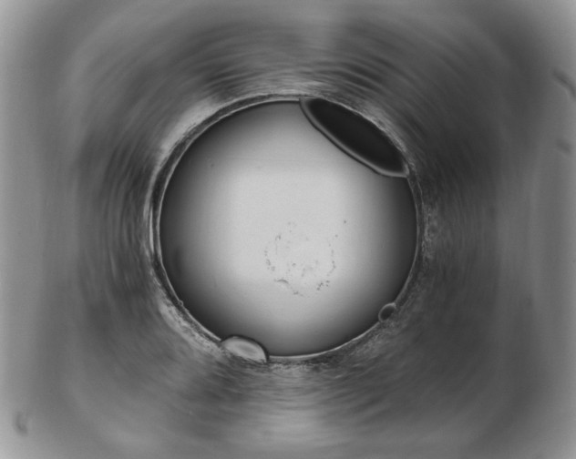 X0000103131080200808221036