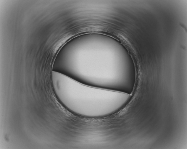 X0000103131081200808221036