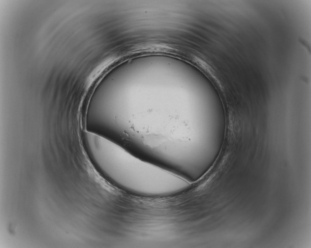 X0000103131082200808221036