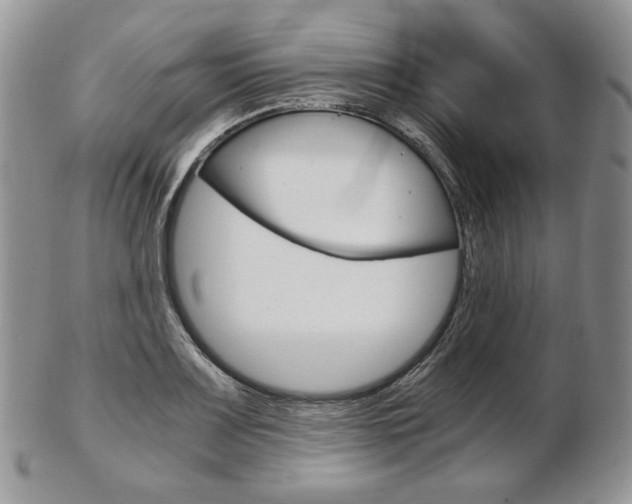 X0000103131083200808221036