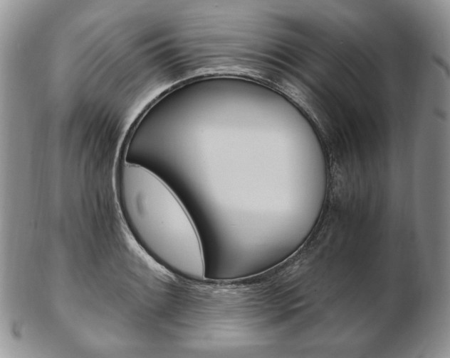 X0000103131084200808221036