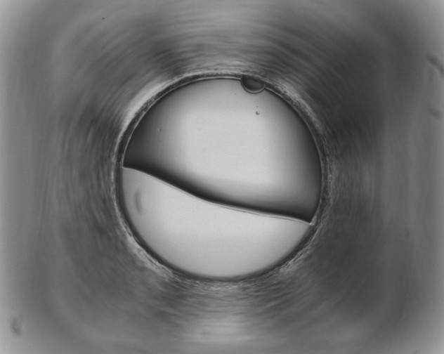 X0000103131085200808221036