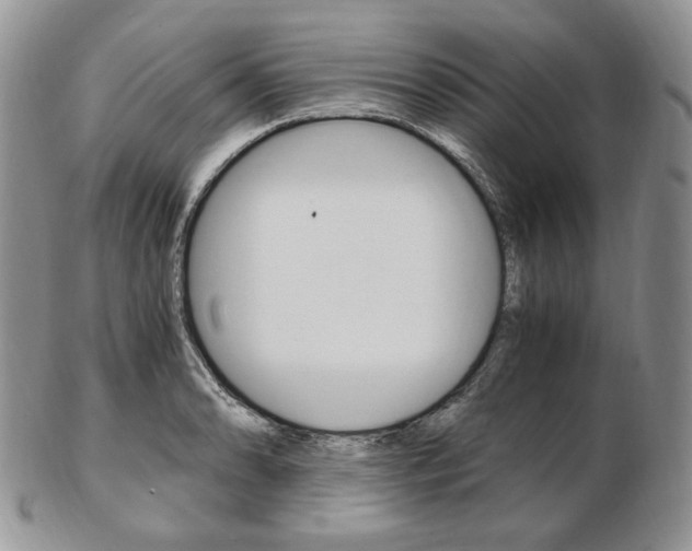 X0000103131086200808221036