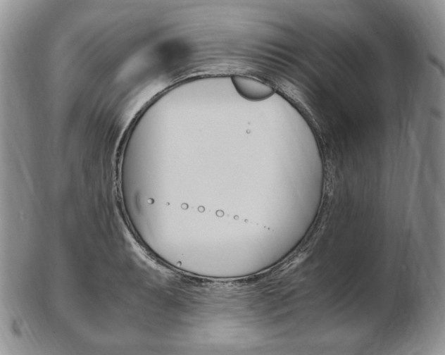 X0000103131087200808221036