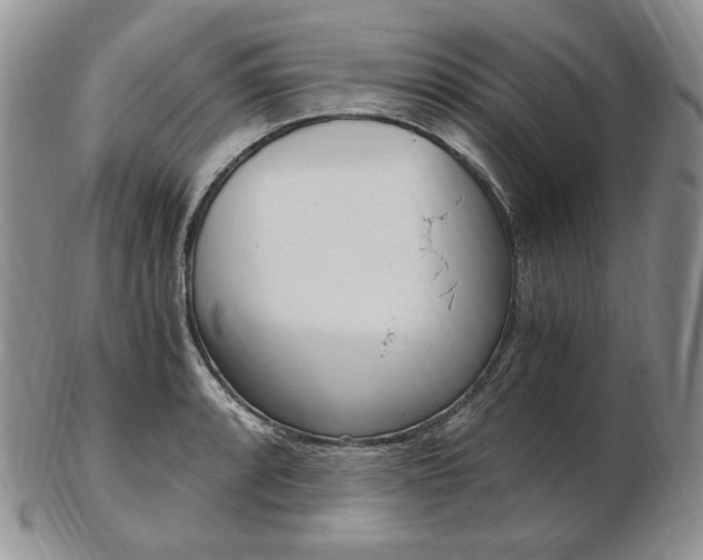 X0000103131088200808221036