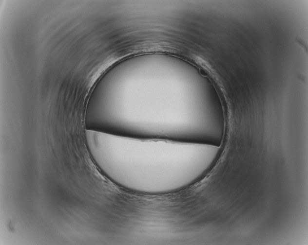 X0000103131089200808221036