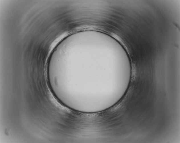 X0000103131090200808221036