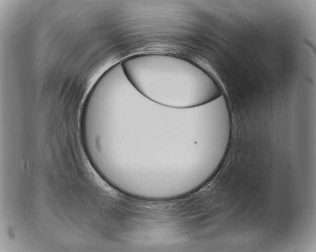 X0000103131091200808221036
