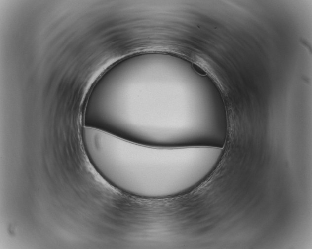 X0000103131092200808221036