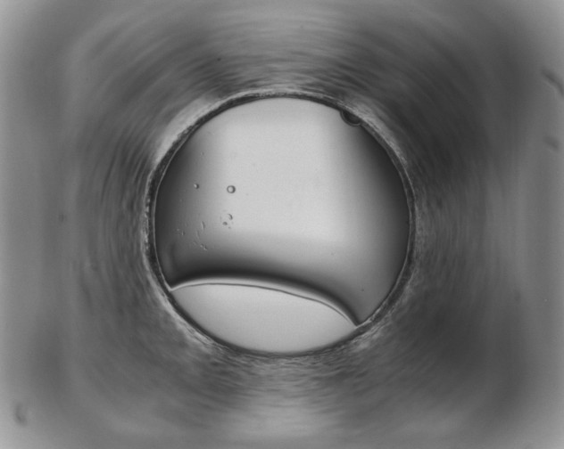 X0000103131093200808221036