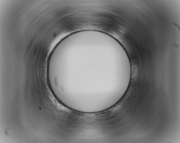 X0000103131094200808221036