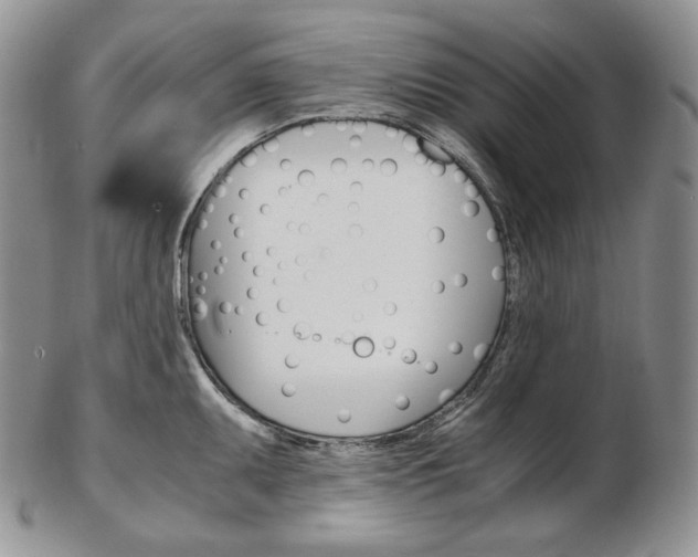 X0000103131095200808221036
