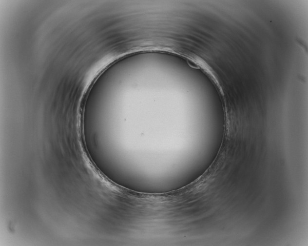 X0000103131096200808221035