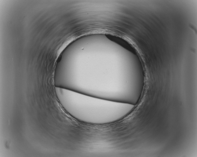X0000103131097200808221035