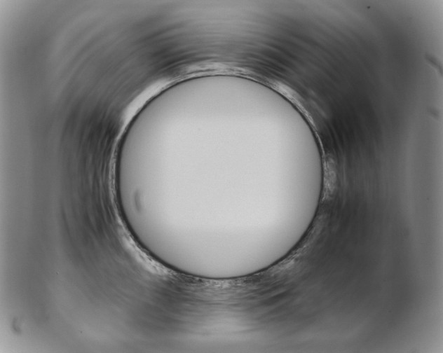 X0000103131098200808221035
