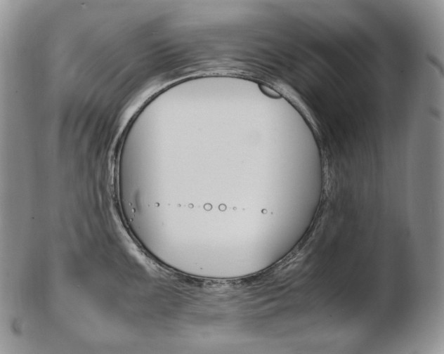 X0000103131099200808221035