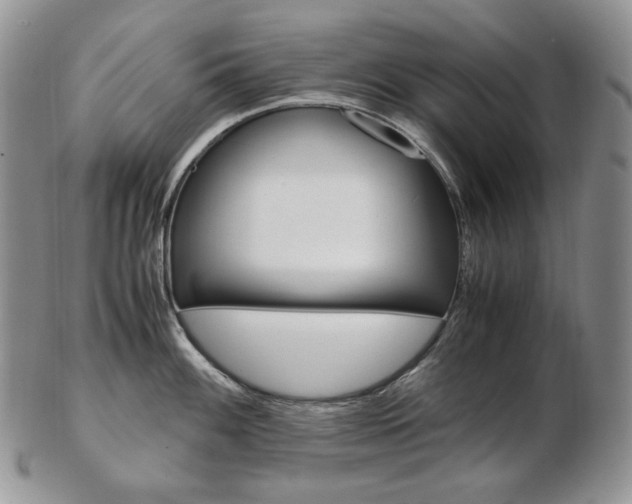 X0000103131100200808221035