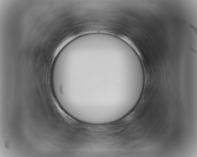 X0000103131101200808221035