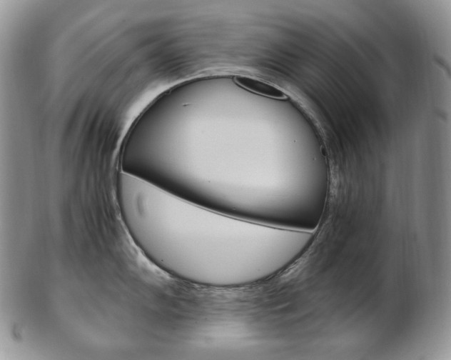 X0000103131102200808221035