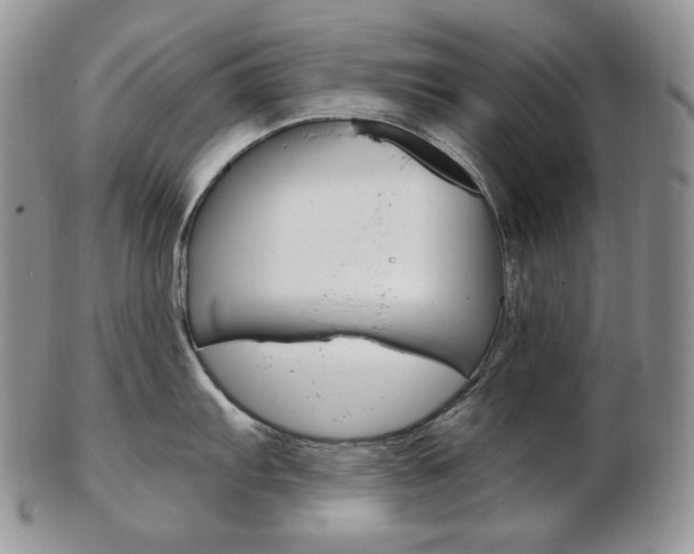 X0000103131103200808221035
