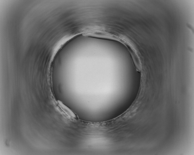 X0000103131104200808221035