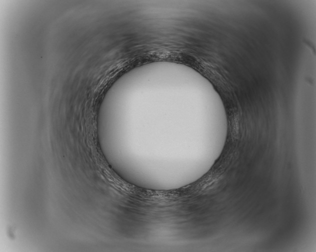 X0000103131105200808221035