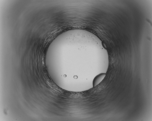 X0000103131106200808221035