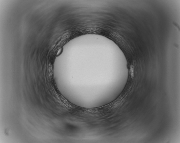 X0000103131107200808221035