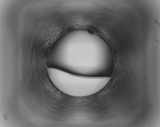 X0000103131108200808221035