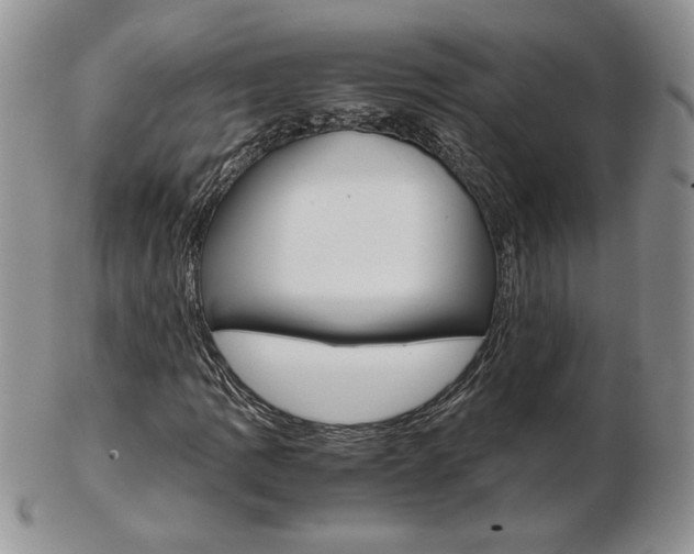 X0000103131109200808221035