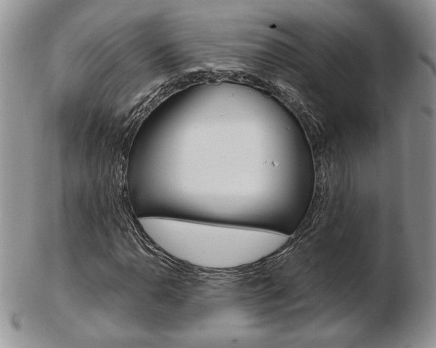 X0000103131110200808221035