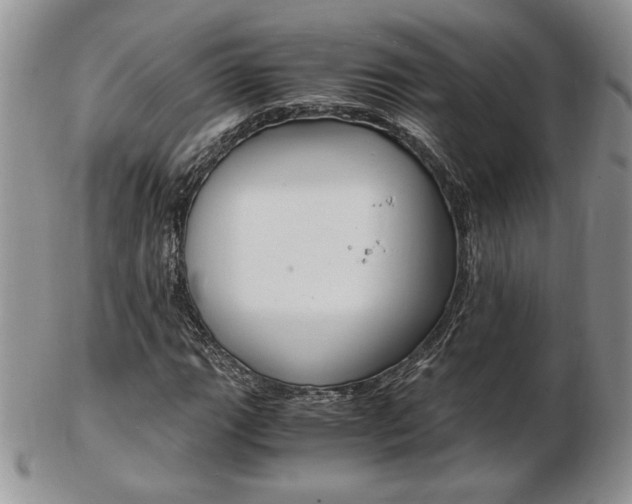 X0000103131111200808221035