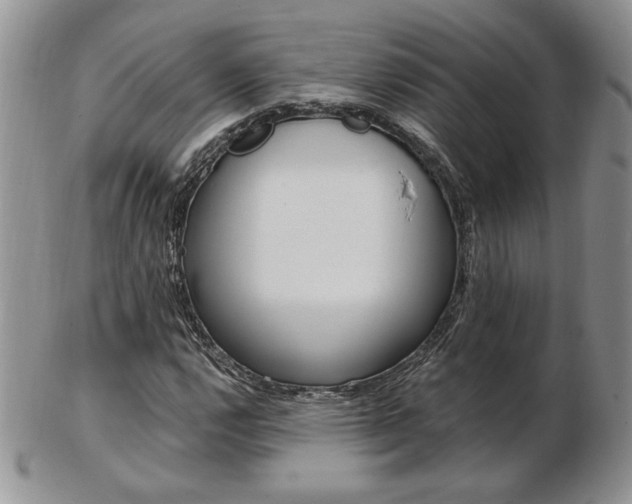 X0000103131112200808221035