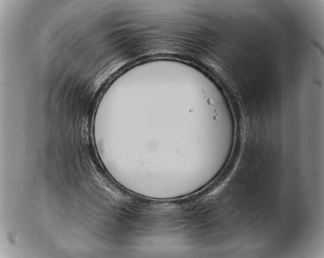 X0000103131113200808221035