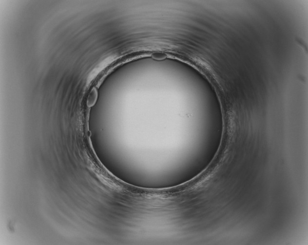 X0000103131114200808221035