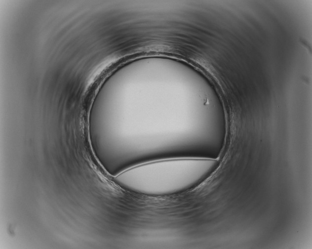 X0000103131115200808221035