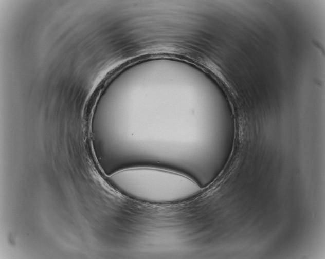 X0000103131116200808221035